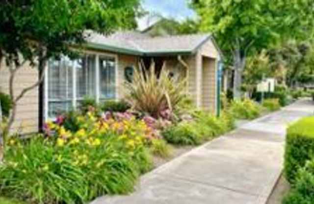 Valley Oak Gallery 2