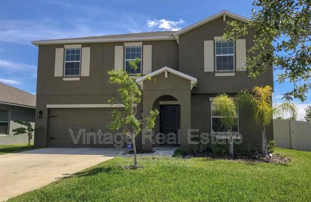 10312 Boggy Moss Dr - 10312 Boggy Moss Drive, Riverview, FL 33578