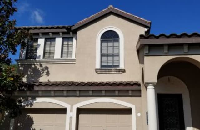 20332 Chestnut Grove Drive - 20332 Chestnut Grove Drive, Tampa, FL 33647