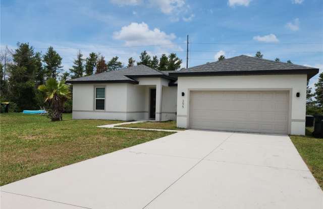 395 DAFFODIL LANE - 395 Daffodil Lane, Poinciana, FL 34759