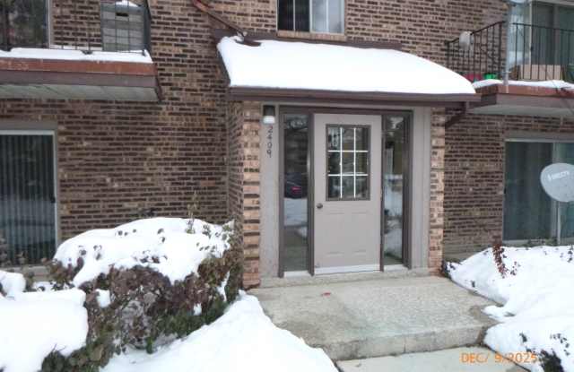 2409 Spring St Apt 4802 - 2409 Spring Street, Woodridge, IL 60517