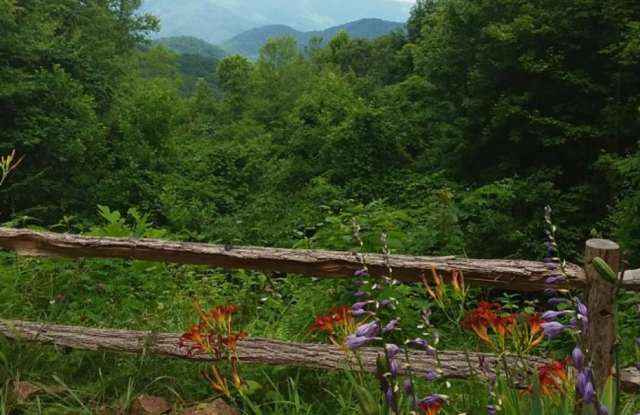 $1,700 - 2 Bedroom / 2 Bath Fully Furnished Cabin with an Amazing View in the Pumpkintown Community photos photos