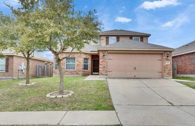 19420 James Manor Street - 19420 James Manor Street, Manor, TX 78653