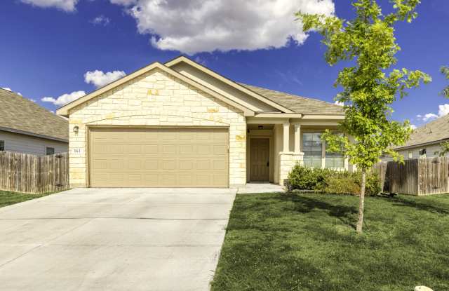 161 Sambar Main - 161 Sambar Main, Cibolo, TX 78124