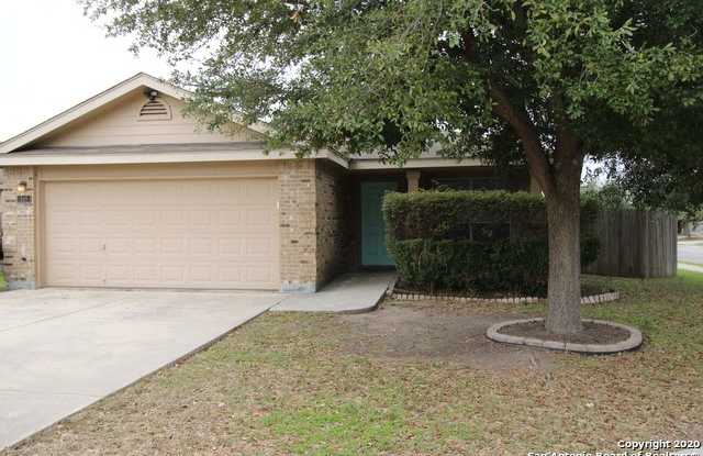 349 IBIS FALLS DR - 349 Ibis Falls Drive, New Braunfels, TX 78130