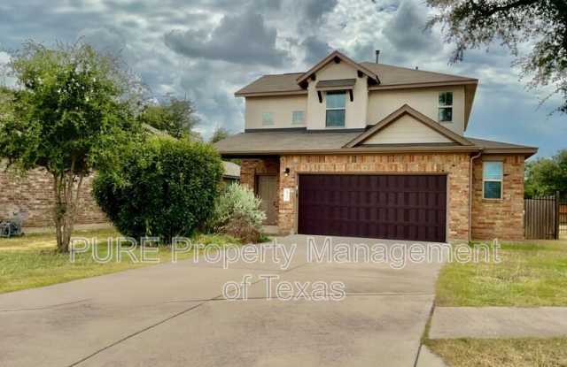 417 Cinnamon Teal Gallery 1