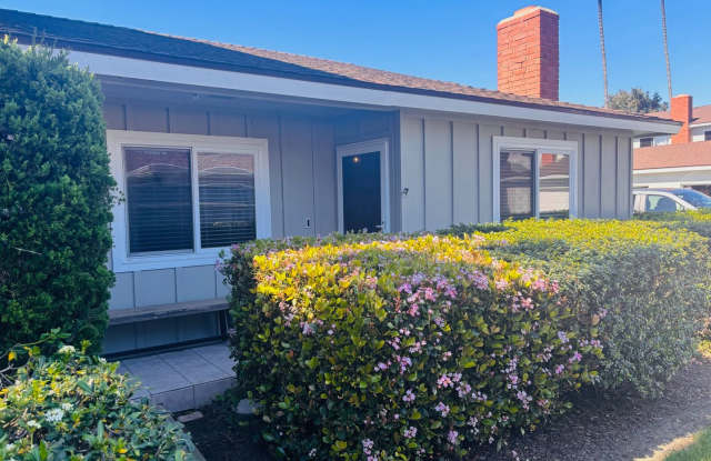 Walk to the Beach photos photos