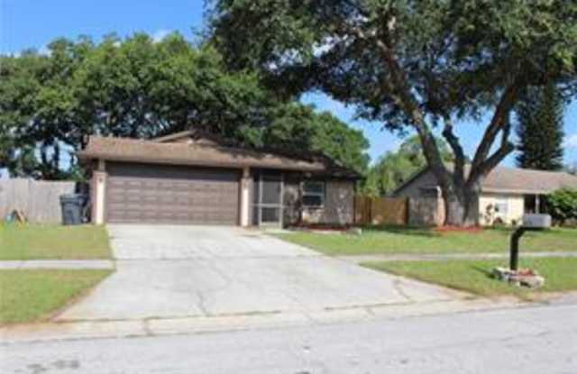 10908 Covey Ct - 10908 Covey Court, Citrus Park, FL 33625