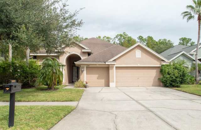 10441 GREENDALE DRIVE - 10441 Greendale Drive, Westchase, FL 33626