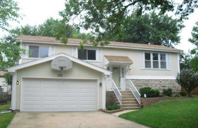 253 Windsor Drive - 253 Windsor Drive, Bolingbrook, IL 60440