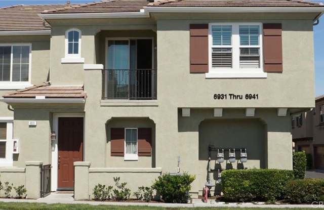 6931 Castor photos photos