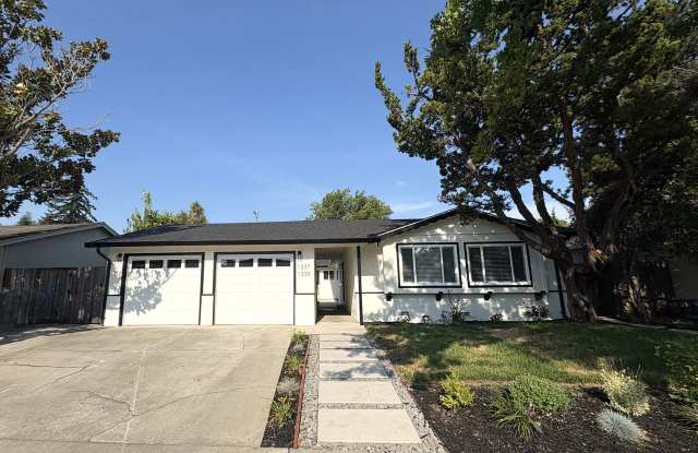 Beautifully Renovated 3-Bedroom, 2-Bathroom Duplex in Sunnyvale Gallery 1