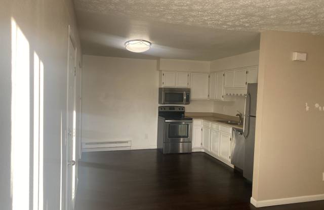 488 South Gilbert Street - D Gallery 2