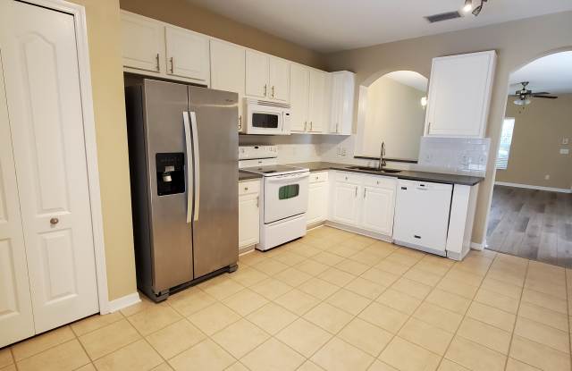 15736 Fishhawk Falls Drive Gallery 4