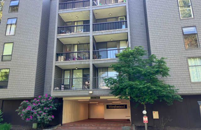 Fully Renovated Redmond 1 Bedroom photos photos