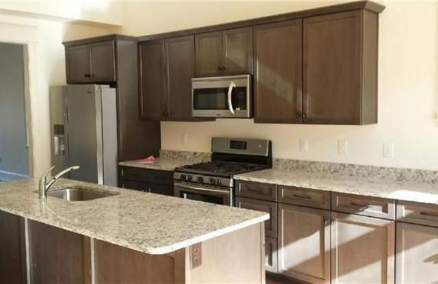 New Construction Home for Rent in Sylvan Heights Gallery 4