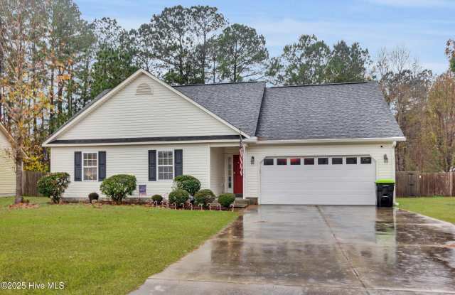 158 Oakley Drive - 158 Oakley Drive, James City, NC 28560