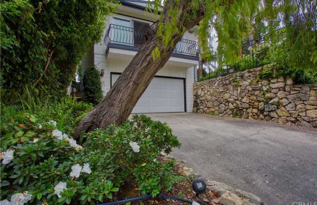 412 Avocado Gallery 2