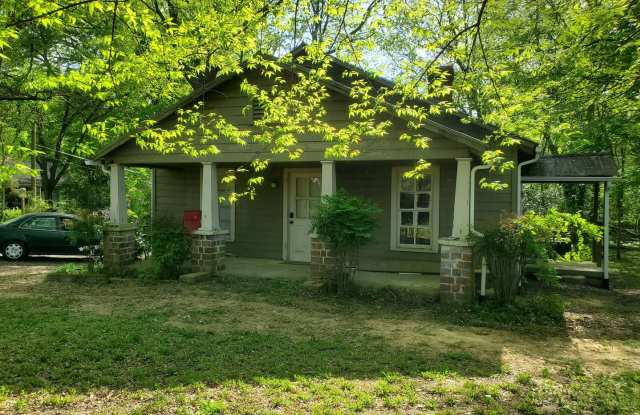 Next to the Carrboro Farmer's market! - 102 Laurel Avenue, Carrboro, NC 27510