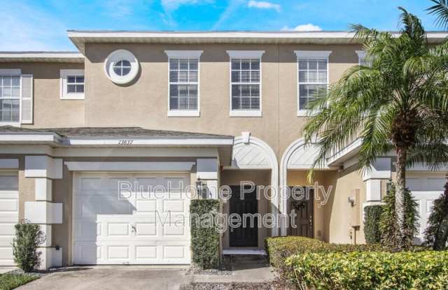 13637 Daniels Landing Circle - 13637 Daniels Landing Circle, Winter Garden, FL 34787