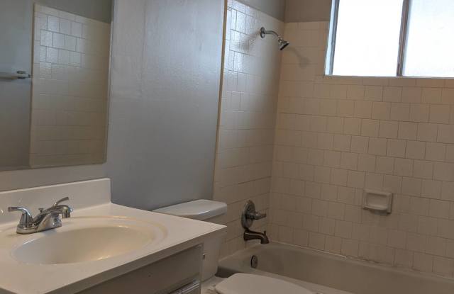 1265 Olive Tree Lane - D Gallery 4