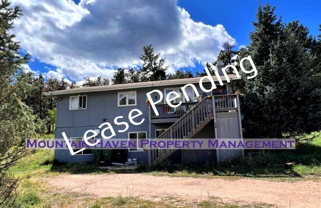 836 Sleepy Hollow Drive - B - 836 Sleepy Hollow Drive, Park County, CO 80421