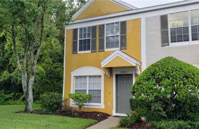 29945 PLAYA DEL REY LANE - 29945 Playa Del Rey Lane, Wesley Chapel, FL 33543