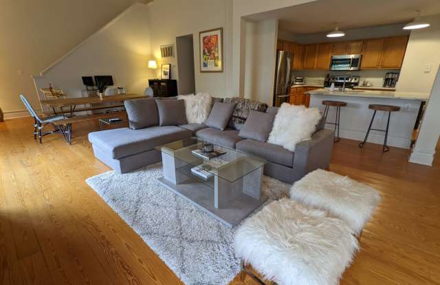 Beautiful furnished Penthouse loft in Elizabeth! - 404 North Laurel Avenue, Charlotte, NC 28204