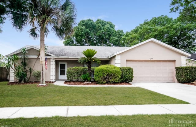 12909 Leadwood Drive - 12909 Leadwood Drive, Riverview, FL 33579