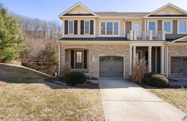 1112 Woodbury Falls Court - 1 photos photos