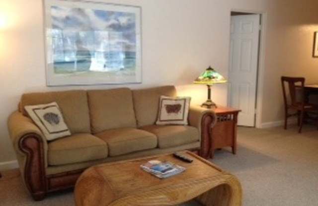Lake Eola Heights Spacious Rental Gallery 3