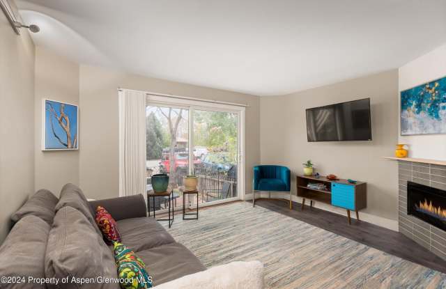 766 Lincoln Avenue - 766 Lincoln Avenue, Carbondale, CO 81623