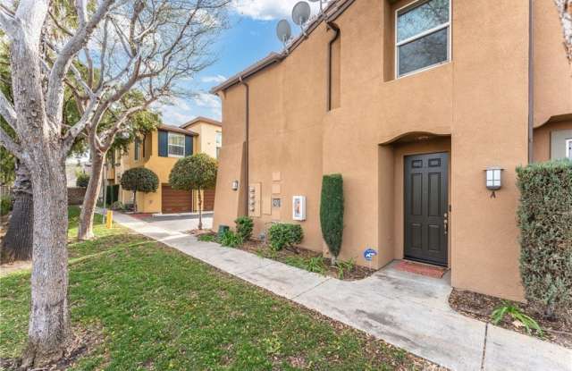 27931 Cactus photos photos