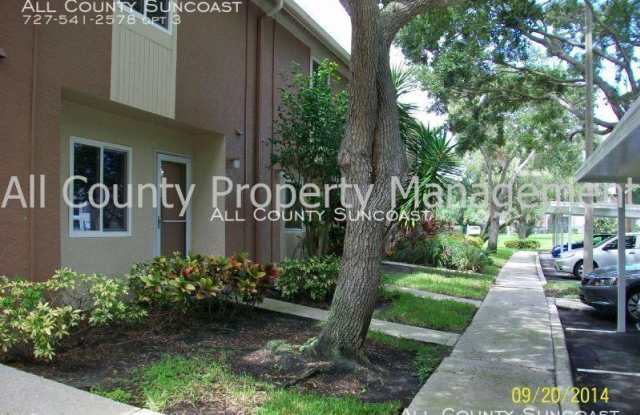 11462 Bay Street NE - 11462 Bay Street Northeast, St. Petersburg, FL 33716