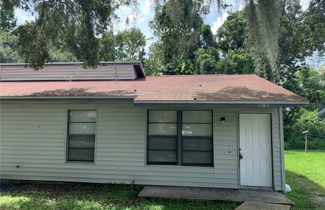 1091 OLD SOUTH DRIVE - 1091 Old South Drive, Medulla, FL 33811