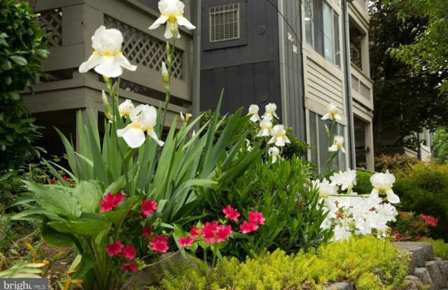 916 WINDBROOKE Drive unit: 916 photos photos