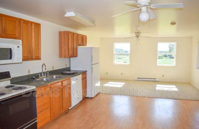 135 Kunes Street - 135 Kunes Street, Blanchard, PA 16826