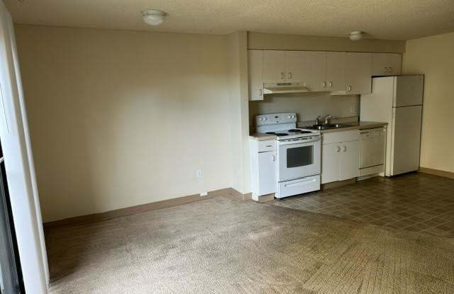 3130 E 36th AveApt #406 - 3130 East 36th Avenue, Spokane, WA 99223