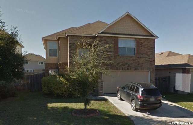 907 CANADIAN GOOSE - 907 Canadian Goose, San Antonio, TX 78245