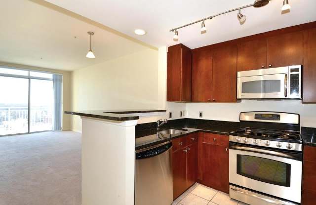 Bright Penthouse Condo w/ Garage Parking in Downtown Silver Spring Gallery 3