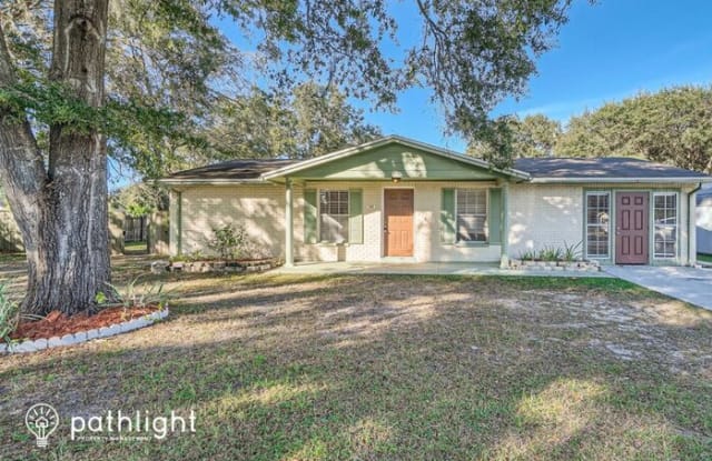 808 Falkirk Avenue - 808 Falkirk Avenue, Valrico, FL 33594