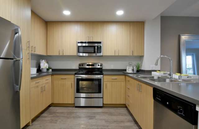 Domus on the Boulevard photos photos