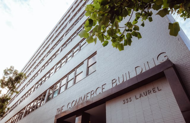 The Commerce Building Gallery 2