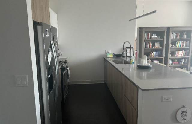 314 W Wolf Point Plz 3903 Gallery 4