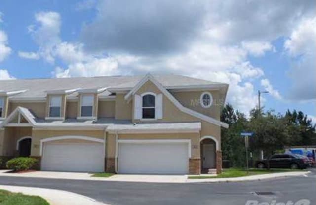 10825 Dragonwood dr - 10825 Dragonwood Drive, Tampa, FL 33647
