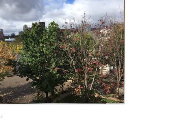 1604 Merriman Ct Gallery 2
