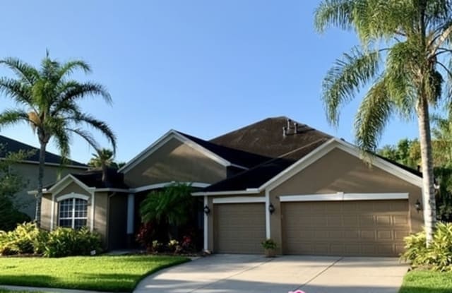 27007 Fordham Drive - 27007 Fordham Drive, Wesley Chapel, FL 33544