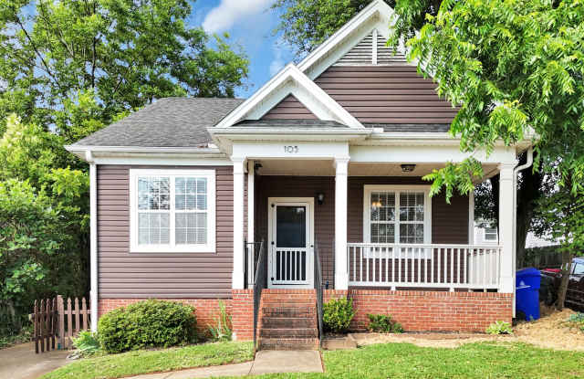 105 Nelson Street - 105 Nelson Street, Greenville, SC 29601