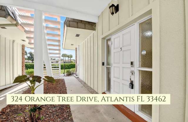 324 Orange Tree Drive photos photos