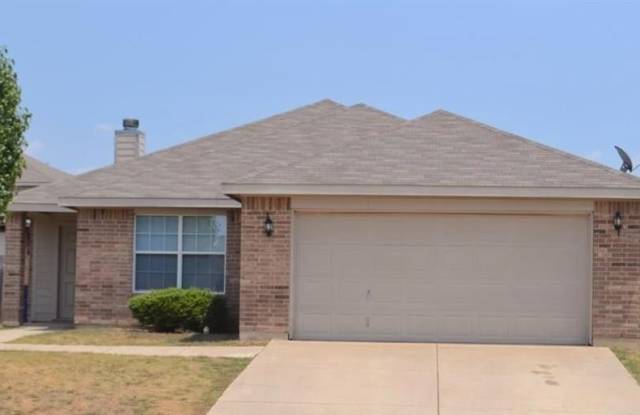 316 Chisholm Trail - 316 Chisholm Trail, Krum, TX 76249